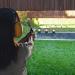 Airsoft Targets for Shooting - Reusable BB & Pellet Guns with Trap Net Catcher | Heavy-Duty Paper Sheets - Stand and Training Target Kit for Indoor/Outdoor Ranges - Buy Online on SooperMarket.com