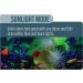 GloFish 4-mode Cycle Light for 20 Gallon Interactive Aquariums - Buy Online on SooperMarket.com