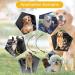 Bezavea 2 Pack Dog Chain Lead Cable Leash Chew Proof Steel Rope Cable Dog Car Harness Dog Car Seatbelt Pet Vehicle Harnesses with Double Clips and Latch Attachment (60cm) - Buy Online on SooperMarket.com