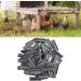 M Nails Durable Cage Staple Not Reusable Economical And Practical for Foxes Cages Home - Buy Online on SooperMarket.com
