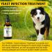 Natural Yeast Infection Drops for Dogs - Itch, Ear Infection, Allergy Relief - Herbal Bacon Flavor - 2 Fl Oz - Buy Online on SooperMarket.com