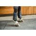 Shires Arma Air Motion Brushing Boots - Black Black Cob - Buy Online on SooperMarket.com