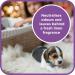 Pet Magic 5 Litre Pet Dog Carpet Cleaning Shampoo Solution | Tough on Stains and Odours | Suitable for all Machines | Fresh Linen Fragrance (1 Pack) - Buy Online on SooperMarket.com