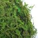 Topcomww Artificial Green Moss for Plant Crafts & Flower Centerpieces - 3.5oz - Buy Online on SooperMarket.com