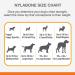 Nylabone Power Chew X-Shaped Bone Beef for Adult Dog Tough Chewers - Small/Regular Size - Buy Online on SooperMarket.com