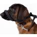 Total Pet Figure of 8 Dog Lead - Flat Anti Pull Stop Dogs Pulling Slip Leads Reflective with Padded Nose Support (210cm)