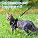 AOKCATS Escape Proof Cat Harness and Leash Set - Reflective Strips, Adjustable Comfort - Small Cat, Kitten - Black, Medium - Buy Online on SooperMarket.com