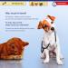 Protectaplast Self-Adhesive Blue Bandage for Pets (7.5cm x 4.5m) - Latex-Free Glue-Free Dressing for Dogs Cats & Horses | Ideal for Wounds & Joints - Buy Online on SooperMarket.com