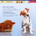 Protectaplast Self-Adhesive Blue Bandage for Pets | Latex-Free & Glue-Free 6cm x 2m | Ideal for Dogs Cats & Horses - Wound & Joint Dressing - Buy Online on SooperMarket.com