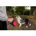 Retractable Gel Pet Leash Handle - Red Medium | Dog Leash - Buy Online on SooperMarket.com