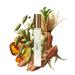 Caswell-Massey Legacy Eau de Parfum Discovery Set Includes VI 2571 & OAIRE Indulge in Enduring Modern Scents Long-Lasting Men s Fragrances Travel Size Set Perfume for Men 0.25 Fl Oz Each Legacy Trio 0.75 Fl Oz (Pack of 1) - Buy Online on SooperMarket.com