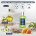Terra Pure Eco Botanics Shampoo - White Tea & Honey | 10.14 oz | Premium Hotel Amenities - Buy Online - Buy Online on SooperMarket.com