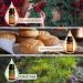 ARVIDSSON Fall Essential Oils Set Autumn Fragrance Oil for Diffusers Candle Making Pumpkin Spice Cinnamon Spiced Cider Autumn Wreath Pine Snickerdoodle Fall Scented Oils for Home - Buy Online on SooperMarket.com