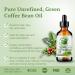 Shop Bella Terra Green Coffee Bean Oil - 1 Gallon for Hair & Skin | Antioxidant-Rich Fast-Absorbing & Non-Greasy - Buy Online on SooperMarket.com