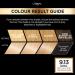 L'Oreal Paris Preference 9.13 Baikal Permanent Hair Dye - Long Lasting Luminous Colour - Buy Online on SooperMarket.com