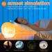 Baozily Light Alarm Clock Sunrise Sunset Simulation Double Alarms Snooze FM Radio & 11 Color Options Wake Up Naturally! - Buy Online on SooperMarket.com