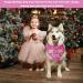 NPQ Pink Dog Birthday Bandana Adjustable Pet Birthday Bandana for Samll Dog Cat Pig Ect Your Pet's Special Day for Small Pets Birthday Party Supplies - Buy Online on SooperMarket.com