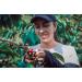 Legend Special Colombian Coffee | Unroasted Green Beans | 100% Organic | Green (raw) | Altitude 1850 MASL Huila - Colombia | Process Washed | Selective Harvesting| 1 Kg - Buy Online on SooperMarket.com