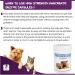 Pancreatic Digestive Enzyme Capsules for Dogs & Cats - Amylase and Lipase Health Supplement for Dog & Cat | 100 Capsules - Buy Online on SooperMarket.com