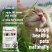 HomeoPet Feline Anxiety Relief - Stress & Anxiety Support for Cats - 15ml - Buy Online on SooperMarket.com