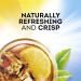 Lipton Family Size Cold Brew Tea Bags, Iced Tea - 22 Count (Pack of 6) - Buy Online on SooperMarket.com