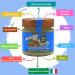 Dalia Nut Spreads - Sugar-Free High Nut Content Vegan & Gluten-Free | 4x200g | Made in Italy (Hazelnut Chocolate Almond-Tonka Almond Coconut) - Buy Online on SooperMarket.com