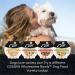 CESAR Wholesome Bowls Wet Dog Food Chicken Carrots Barley & Green Beans 85g Pack of 10 Chicken Carrots & Green Beans 85 g (Pack of 10) - Buy Online on SooperMarket.com