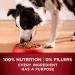 Purina ONE True Instinct High Protein Natural Dry Dog Food with Turkey & Venison - 7.4 lb Bag - Buy Online on SooperMarket.com
