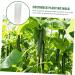 Balacoo 4 Pcs Vegetable Shaping Mold Cucumber Growing Molds Garden Fruit Mold Plastic Hearts Quincunx Suite - Buy Online on SooperMarket.com