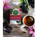 Traditional Medicinals Organic Echinacea Elderberry Herbal Tea - 32 Tea Bags Total, Immune Function Support, Pack of 2 - Buy Online on SooperMarket.com