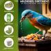 Eggersmann Volaris Bird Food 1kg - High Energy & Fat-Rich Streuk rner for All Birds | Perfect Wild Bird Seed Blend for Year-Round Feeding - Buy Online on SooperMarket.com