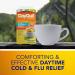 DayQuil Hot Remedy Cold Flu & Congestion Medicine Daytime Non-Drowsy Relief for Fever & Headache Sore Throat Pain Nasal Congestion Cough Multi-Action Honey Lemon Flavoured 8 Powder Packets - Buy Online on SooperMarket.com