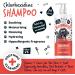 BUGALUGS Dog Shampoo for Itchy Skin Antibacterial And Antifungal Natural Safe Sensitive Formula - Fast Absorbing Skin Cooling First Aid relief For Cuts Grazes Skin Irritation - Buy Online on SooperMarket.com