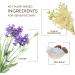 Babo Botanicals Calming Baby Lotion - Lavender & Meadowsweet 8 fl oz | Natural Baby Skincare - Buy Online on SooperMarket.com