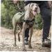 OneTigris CAMELUS Dog Backpack for M/L Size Dogs - Tear-Resistant Hiking & Camping Gear in Ranger Green - Buy Online on SooperMarket.com