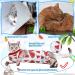 3 Pieces Cat Recovery Suit Kitten Recovery Suit E-Collar Alternative for Cats and Dogs Abdominal Skin Anti Licking Pajama Suit Multi Style Medium - Buy Online on SooperMarket.com