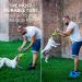 Buy Bull Fit Dog Toy - 30 cm Robust Fire Hose K9 Training & Tug-of-War - Handmade & Durable - Buy Online on SooperMarket.com