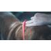 Vetocanis Red Dog Control Collar - 7 Years | Effective Training Solution - Buy Online on SooperMarket.com