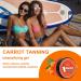 100ml Carrot Tanning Gel 3.38 fl.oz Intensive Sunbed Tanning Intensifying Oil Natural Tan Accelerator Lotion Rapid Long-Lasting Tanning Cream Achieve Brown Tan Skin in Summer Holiday Outdoor Beach - Buy Online on SooperMarket.com