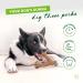 Benebone Wishbone Real Peanuts Medium Durable Dog Chew Toy for Aggressive Chewers | International Shipping Available - Buy Online on SooperMarket.com