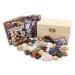 Rokkolino treasure chest with real minerals gemstones and fossils | Ideal for discovering and learning about the treasures of nature