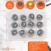 Carb-o-licious Low Carb Rum Balls 12-Pack: Keto-Friendly Snack with 1 Net Carb | Almond Flour & Delicious Taste | Healthy Low-Carb Diet Treat - Buy Online on SooperMarket.com