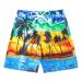 Freshhoodies Swim Trunks for Boy's Summer Fast drying 3D printed graphics Children swimming shorts with cord struggle & bags 5-14 years 13-14 years of palm A