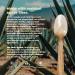 Sustainable Agave Co - Agave Fiber Spoons - Plastic-Free Biodegradable Compostable Plant-Based - Brown Bulk - 500 Count - Buy Online on SooperMarket.com