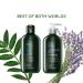Tea Tree Lavender Mint Moisturizing Conditioner - Hydrating and Soothing for Coarse & Dry Hair - 10.14 Fl Oz (Pack of 2) - Buy Online on SooperMarket.com