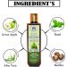 Blessfull Healing Organic Green Apple + Conditioner Hair Cleanser | Shampoo 200 ML (Packing May Vary) - Buy Online on SooperMarket.com