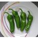 Chili Set: 20 Unique Varieties of Hot & Spicy Pepper Seeds - Worldwide Shipping - Buy Online on SooperMarket.com