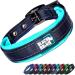 Black Rhino - The Comfort collar super soft neoprene posted dog collar for all dog breeds - highly contaminable adjustable reflective weatherproof (medium aqua/gray) aqua/gray medium