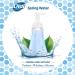 Dial Complete Antibacterial Foaming Hand Soap Spring Water 7.5 Fl Oz - Single Pack - Buy Online on SooperMarket.com