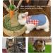 Adjustable Soft Rabbit Dishes & Leash Set for Small Animals - Pink (L) | Perfect for Rabbits Cats & Guinea Pigs - Buy Online on SooperMarket.com